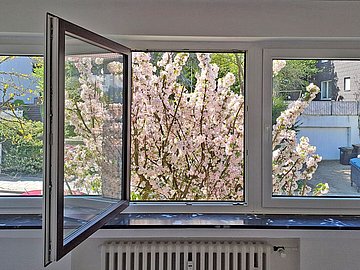 Bild 9 des Objektes in Essen 