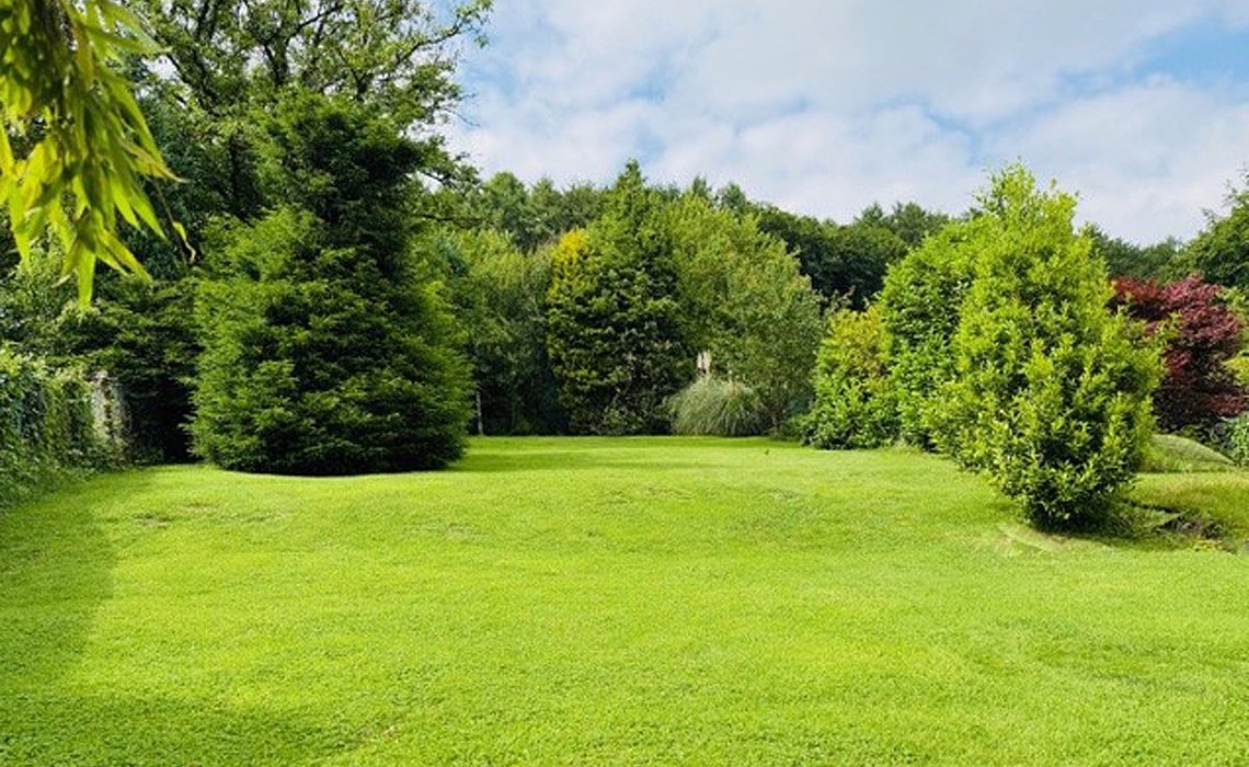 Bild des Objektes in Essen 