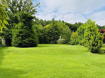 Bild des Objektes in Essen 